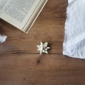 Martisorul Floare de colt Aur